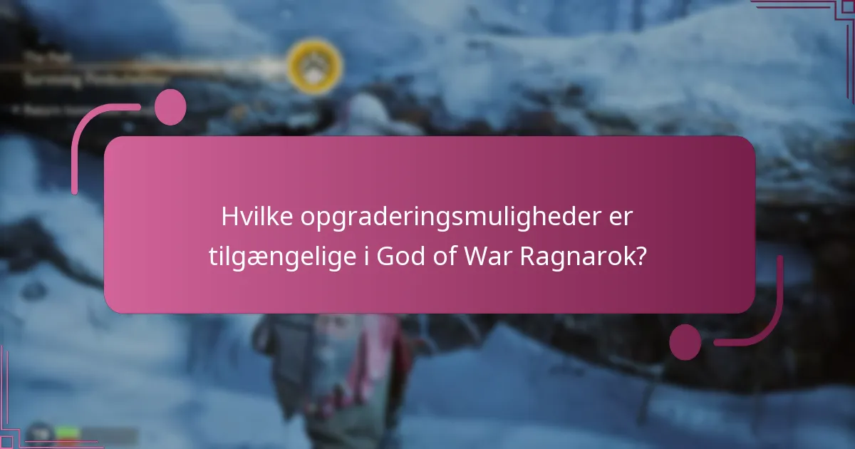 Hvad er omkostningerne forbundet med hver opgraderingsmulighed?