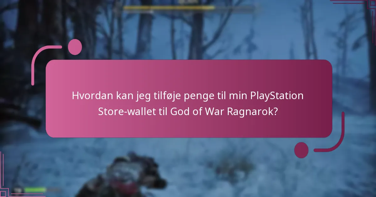 Hvad skal jeg gøre, hvis jeg støder på problemer med at bruge min wallet?